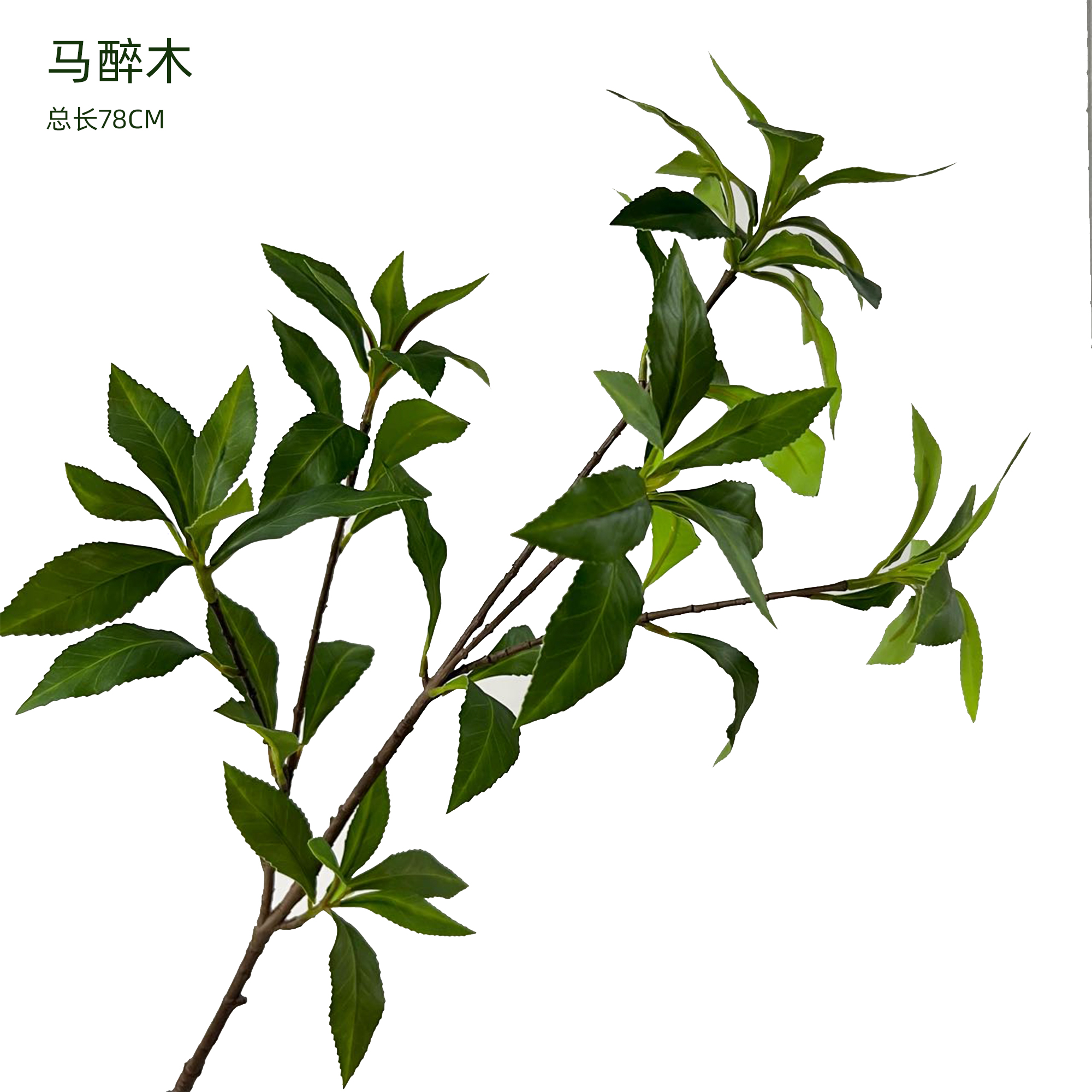 仿真松树枝大枫叶南天竹飘逸吊钟榆树叶崖柏松